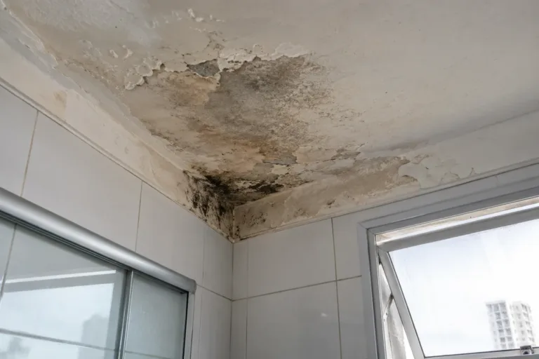 Infiltrações e umidade em tetos e paredes de apartamentos
