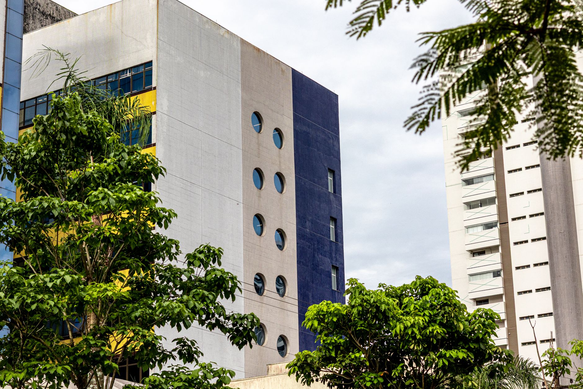 Edifícios residenciais com fachada revestida em pastilhas cercados por árvores em Santos